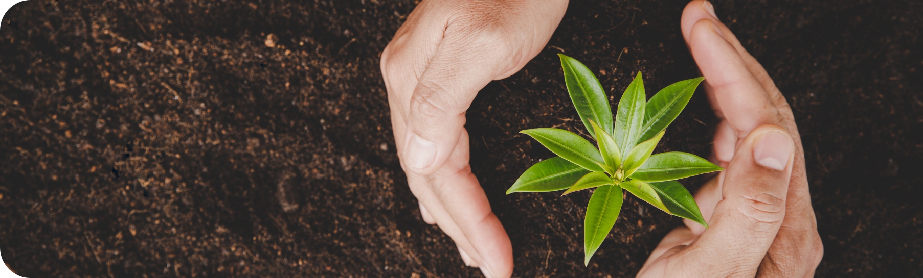 支援についてイメージ画像