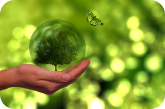 サイトリニューアルのお知らせ