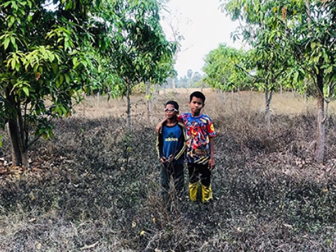 チェイホームの子供たち2